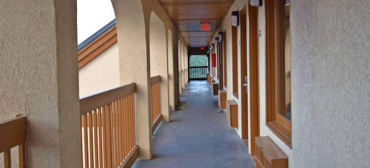 克里斯维尔-马克斯梅多斯速8酒店(Super 8 by Wyndham Fort Chiswell/Wytheville Area)图片