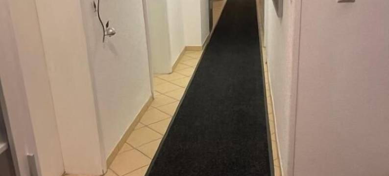 维尔德帕克酒店(Hotel am Wildpark)图片