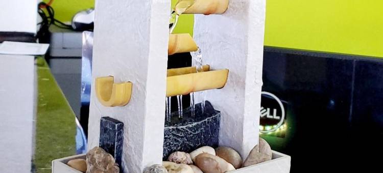 威廉姆斯顿酒店(Williamston Inn)图片