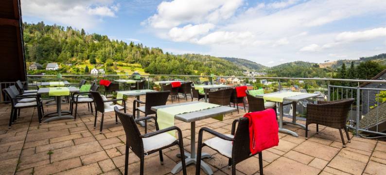 乡间美景酒店(Hotel Schöne Aussicht)图片