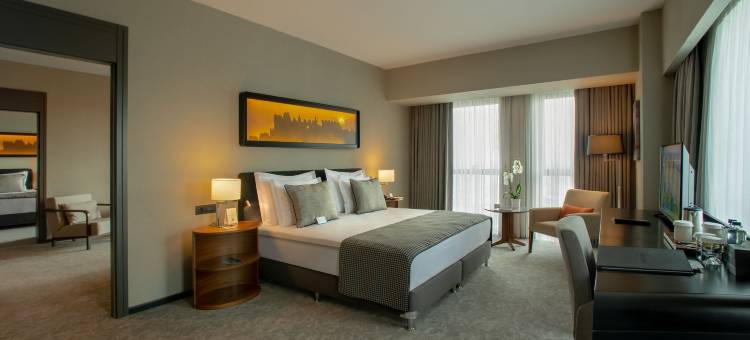 迪亚巴克尔瑞享酒店(Mövenpick Diyarbakir)图片