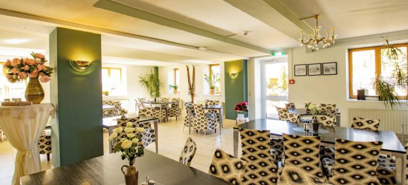 弗列柏格霍赫恩泽格比格斯酒店(Erzgebirgshotel Freiberger Höhe)图片