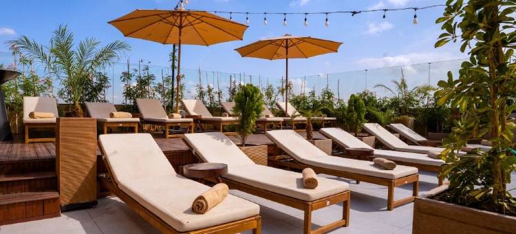 龙格维酒店(Longue VIE Hotels)图片