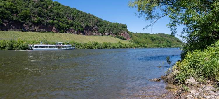 Limehome 特里尔尼古拉斯-莱斯街(Limehome Trier Nikolaus-Leis-Straße)图片