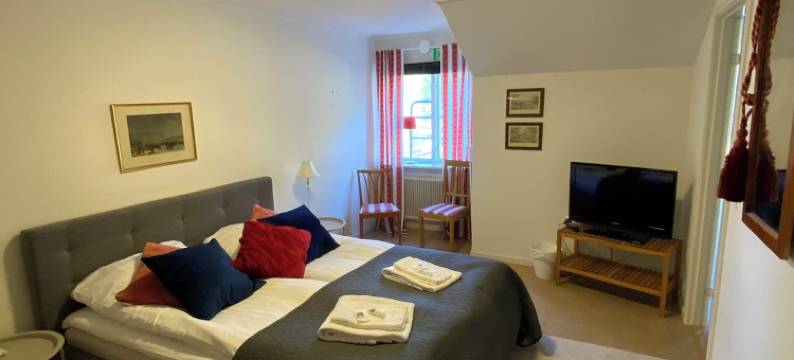 Snöå Bruk 庄园酒店及会议中心(Snöå Bruk Hotell Och Konferens)图片