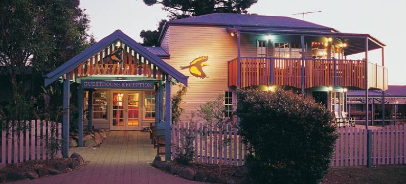 欧雷伊里雨林度假村(O'Reilly's Rainforest Retreat)图片