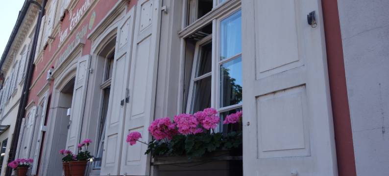 艾布帕林泽沃尔多夫餐厅酒店(Hotel Restaurant Erbprinz Walldorf)图片