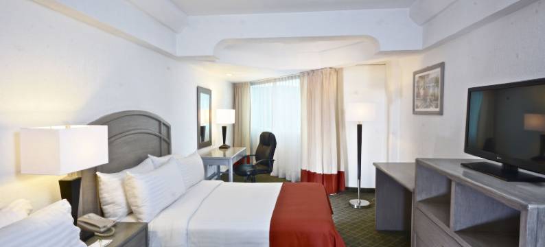 帕丘卡使命酒店(Mision Pachuca)图片