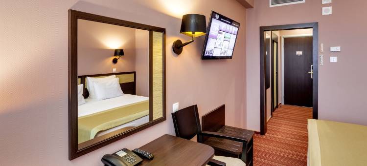 维嘉伊兹麦洛瓦酒店和会议中心(Vega Izmailovo Hotel)图片