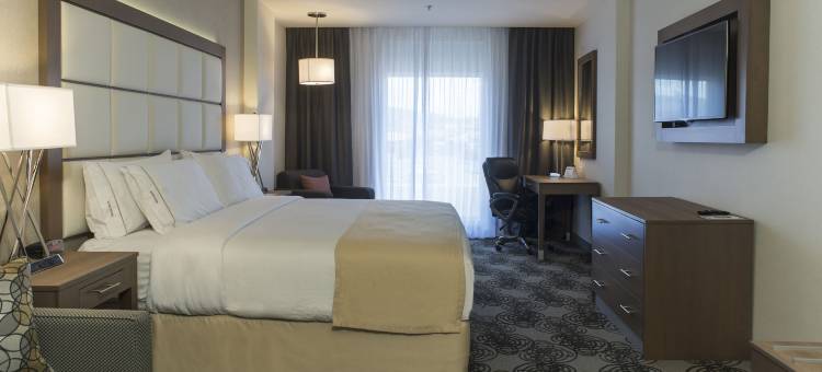 奇瓦瓦尤文智选假日酒店(Holiday Inn Express & Suites Chihuahua Juventud)图片