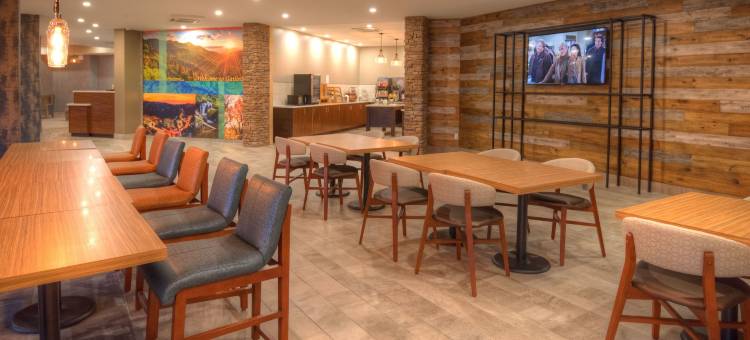 波茵特市区-加特林堡克拉丽奥酒店(Clarion Pointe Downtown Gatlinburg)图片