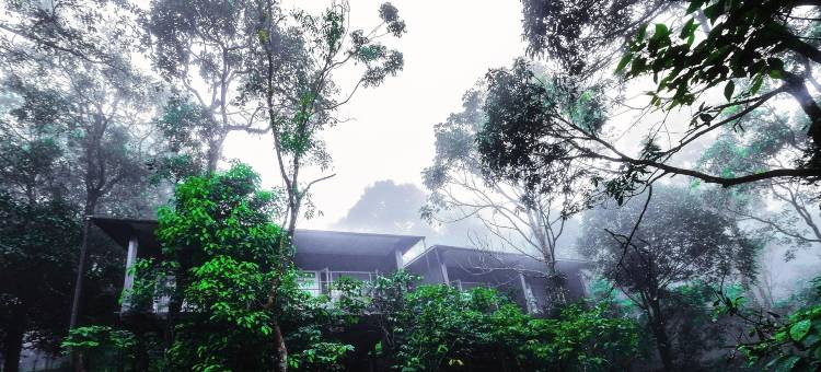 瓦亚纳德野外雨林旅馆-CGH地球酒店(Wayanad Wild - A CGH Earth Experience)图片