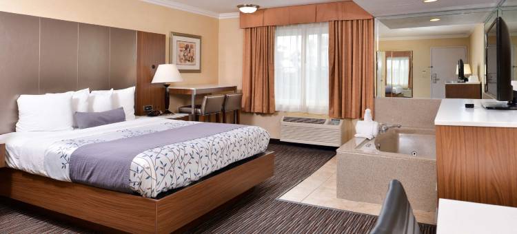 机场公园贝斯特韦斯特酒店(Best Western Airpark Hotel - Los Angeles LAX Airport)图片