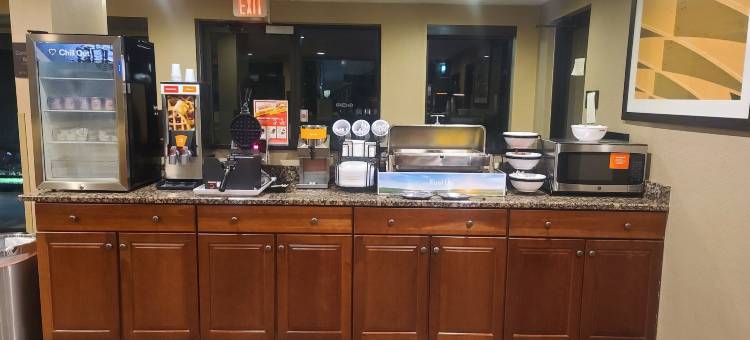 利兹I-20舒适套房酒店(Comfort Inn & Suites Leeds I-20)图片