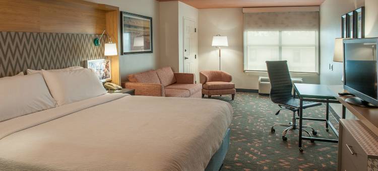 Holiday Inn 彭萨科拉- N的戴维斯高速公路(Holiday Inn PENSACOLA - UNIVERSITY AREA by IHG)图片