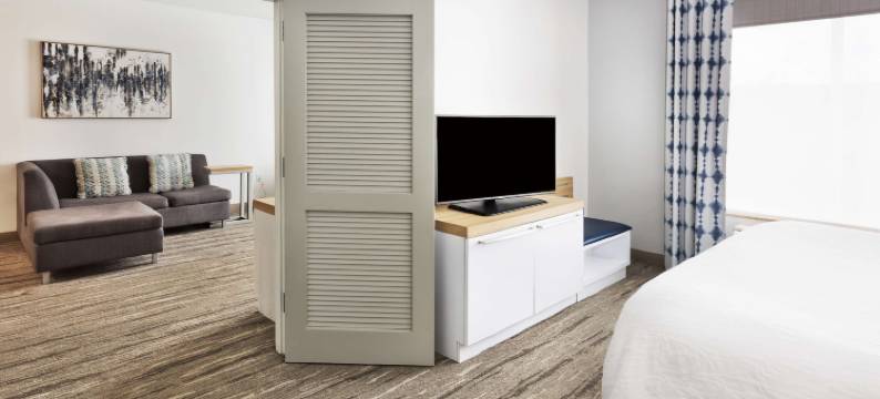 伯明翰自由公园希尔顿花园酒店(Hilton Garden Inn Birmingham SE/Liberty Park)图片