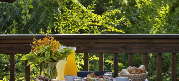 诺菲格嫩度假村酒店(Nofey Gonen Holiday Village)图片