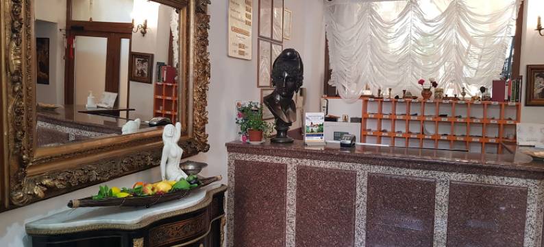 米开朗基罗酒店(Hotel Michelangelo)图片