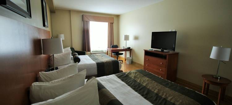 霍克斯伯里品质套房酒店(Quality Inn & Suites)图片
