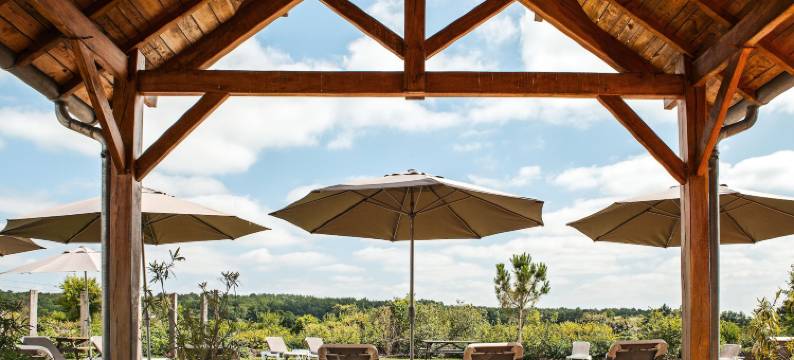 威格斯城堡酒店(Château des Vigiers)图片