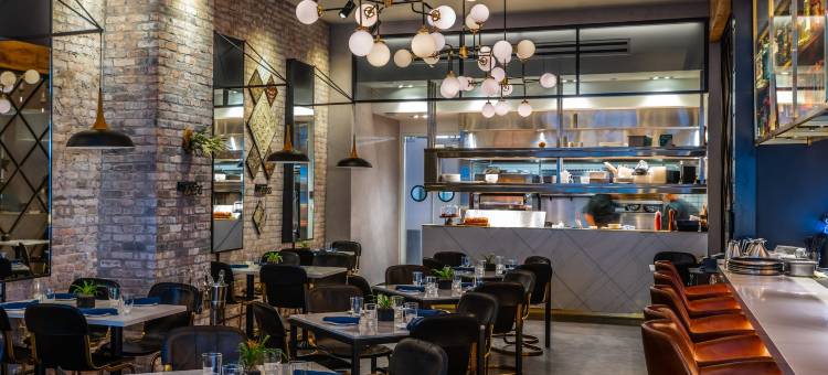 阿尔洛芝加哥(Arlo Chicago)图片