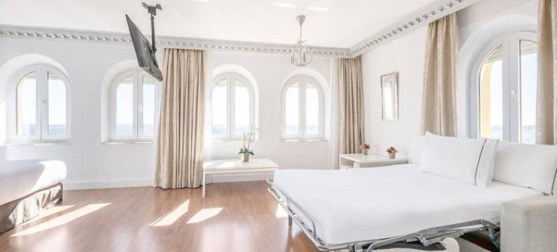 埃克维多利亚宫殿酒店(Exe Victoria Palace)图片