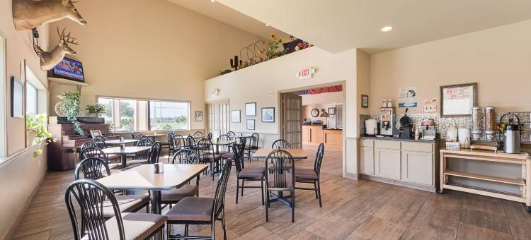 德克萨斯维多利亚套房汽车旅馆(Lone Star Inn and Suites Victoria)图片