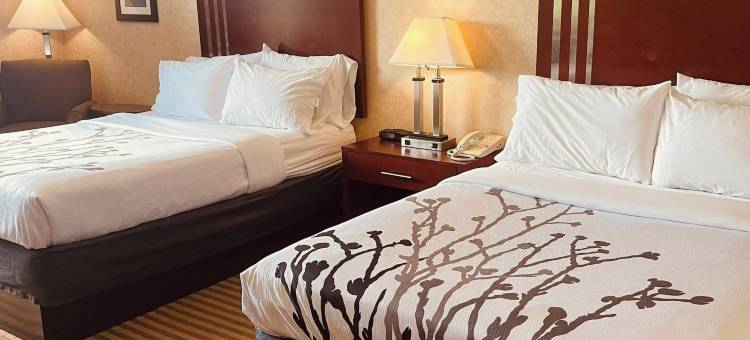 林奇堡豪华庄园酒店(IHG旗下)(Lynchburg Grand Estate by IHG)图片