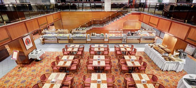 埃罗斯塔酒店(Aerostar Hotel Moscow)图片