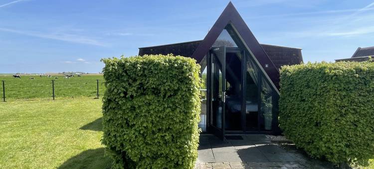 Hotelhuisjes 安代克酒店(Hotelhuisjes Andijk)图片