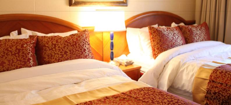 阿卡迪亚酒店(Arcadia Hotel)图片