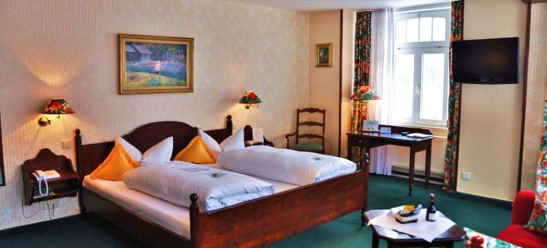 沃尔德弗雷德弗莱尔酒店(Flair-Hotel Waldfrieden)图片