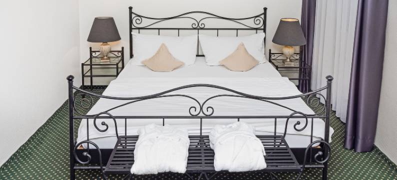 莱荷夫酒店(Hotel Rhyhof)图片