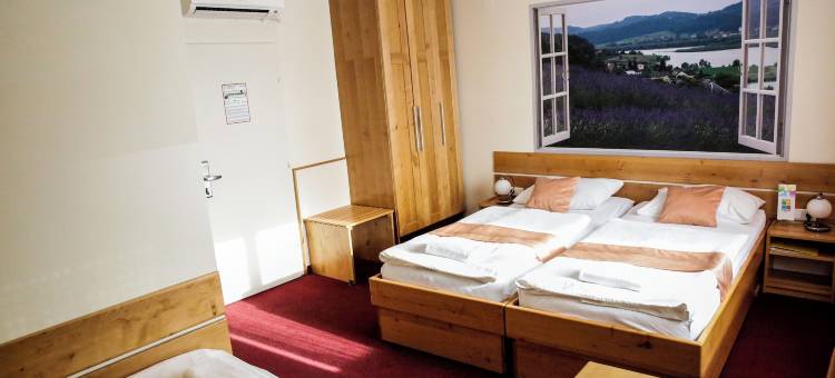 泰伯酒店(Hotel Tabor Maribor)图片