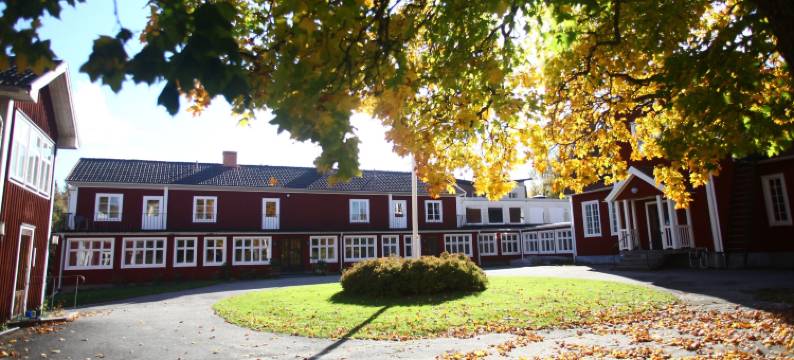 尼伊坦斯库罗特酒店(Nyhyttans Kurort)图片