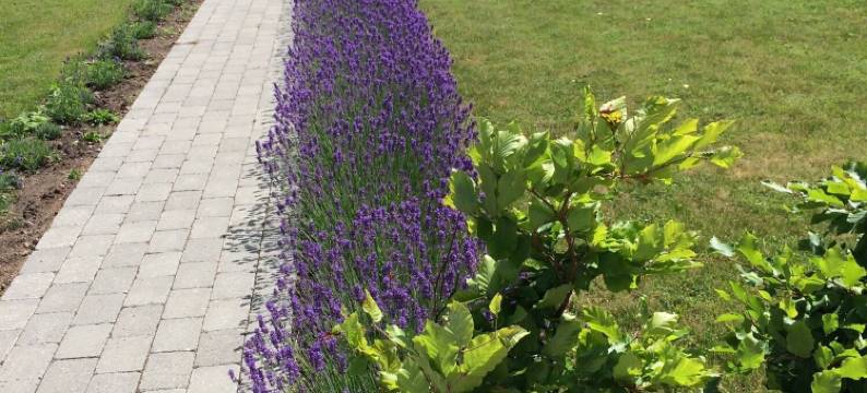 比尔肯德住宿加早餐酒店(Birkende Bed and Breakfast)图片