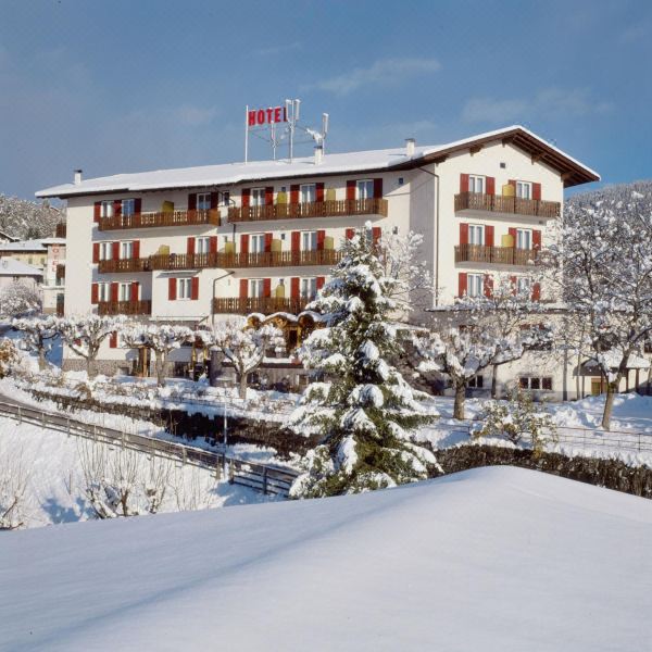 帕诺拉马疗养度假酒店(Hotel Panorama Wellness & Resort)图片