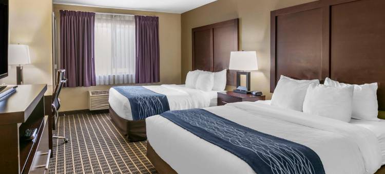 北柯林斯堡舒适酒店(Comfort Inn Fort Collins North)图片