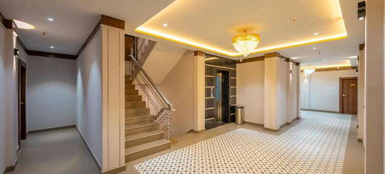 银石酒店(Hotel Silver Stone)图片