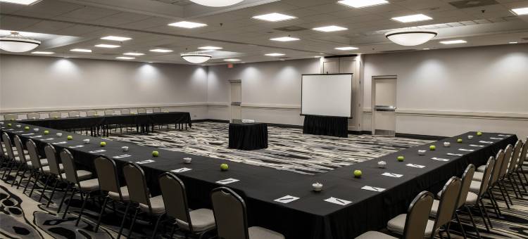 芝加哥绍姆堡伍德菲尔德希尔顿安泊酒店(Embassy Suites by Hilton Chicago Schaumburg Woodfield)图片