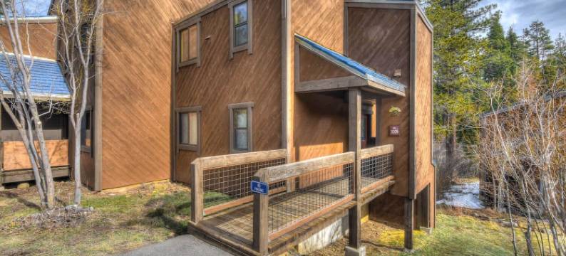 银树庇护所，在白杨树林中(Silver Tree Sanctuary in Aspen Grove!)图片