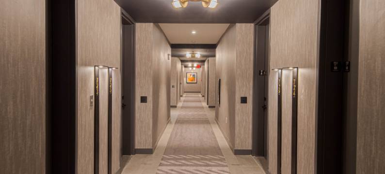 泽西市艺术区希尔顿嘉悦里酒店(Canopy by Hilton Jersey City Arts District)图片