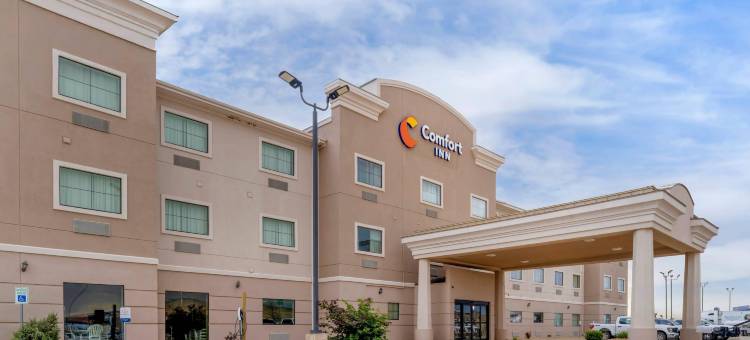 舒适酒店(Comfort Inn I-20 Midland Stanton)图片