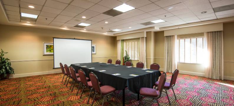 坦帕易勃尔历史区希尔顿花园酒店(Hilton Garden Inn Tampa Ybor Historic District)图片