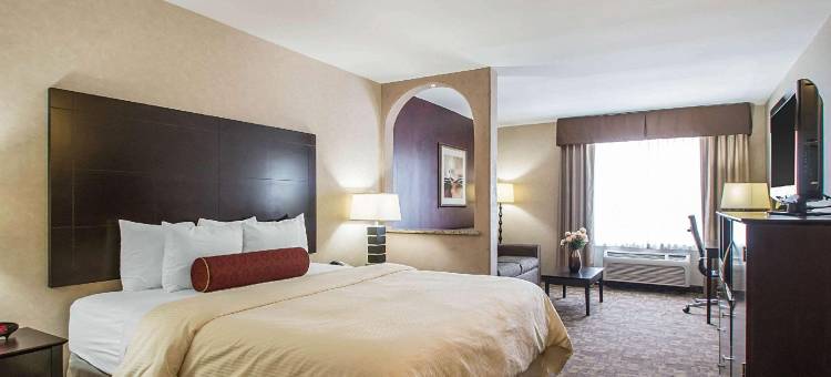 克拉丽奥酒店-埃尔姆赫斯特-橡树溪近I-88-I-290-I-294(Clarion Inn Elmhurst - Oak Brook Near I-88 I-290 I-294)图片