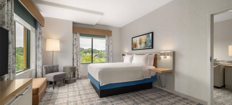 舍尔灵顿希尔顿花园旅馆(Hilton Garden Inn  Arlington Shirlington)图片