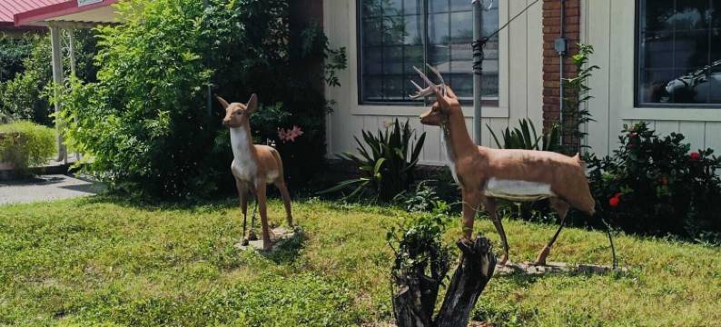 Pen Ann by Capital O 法尔/麦卡伦 TX(PEN Ann by Capital O Pharr McAllen TX)图片