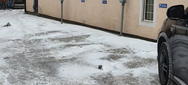 别客栈(Britz Hostel)图片