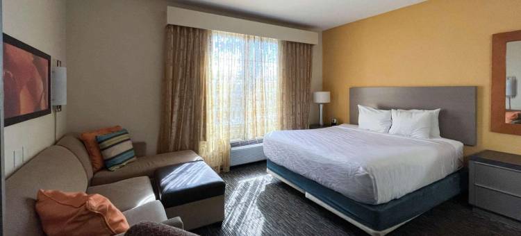 6号汽车旅馆-卡尔斯巴德，加州(Studio 6 Carlsbad, CA)图片