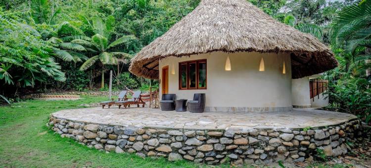 桑图阿里奥自然一旅馆(One Santuario Natural)图片